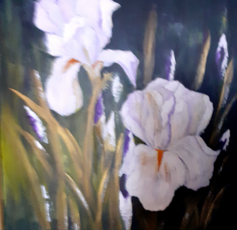 Galerie